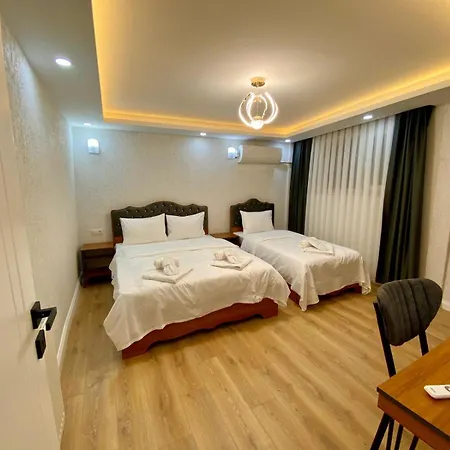شقة فندقية Sultanahmet Coskun 2 3*